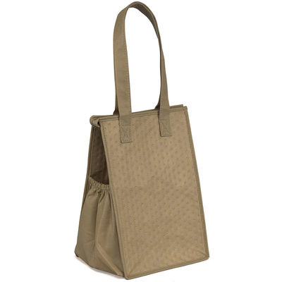 Προσαρμοσμένο χρώμα Ruthbag Therm-O-Snack Cooler Lunch Tote Bag για τη διατήρηση των τροφίμων φρέσκα